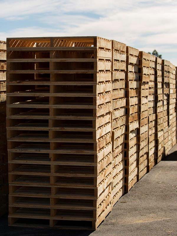 1130 x 1130 McLaren Vale Enterprises