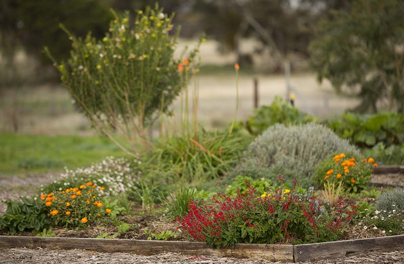 garden bed McLaren Vale Enterprises